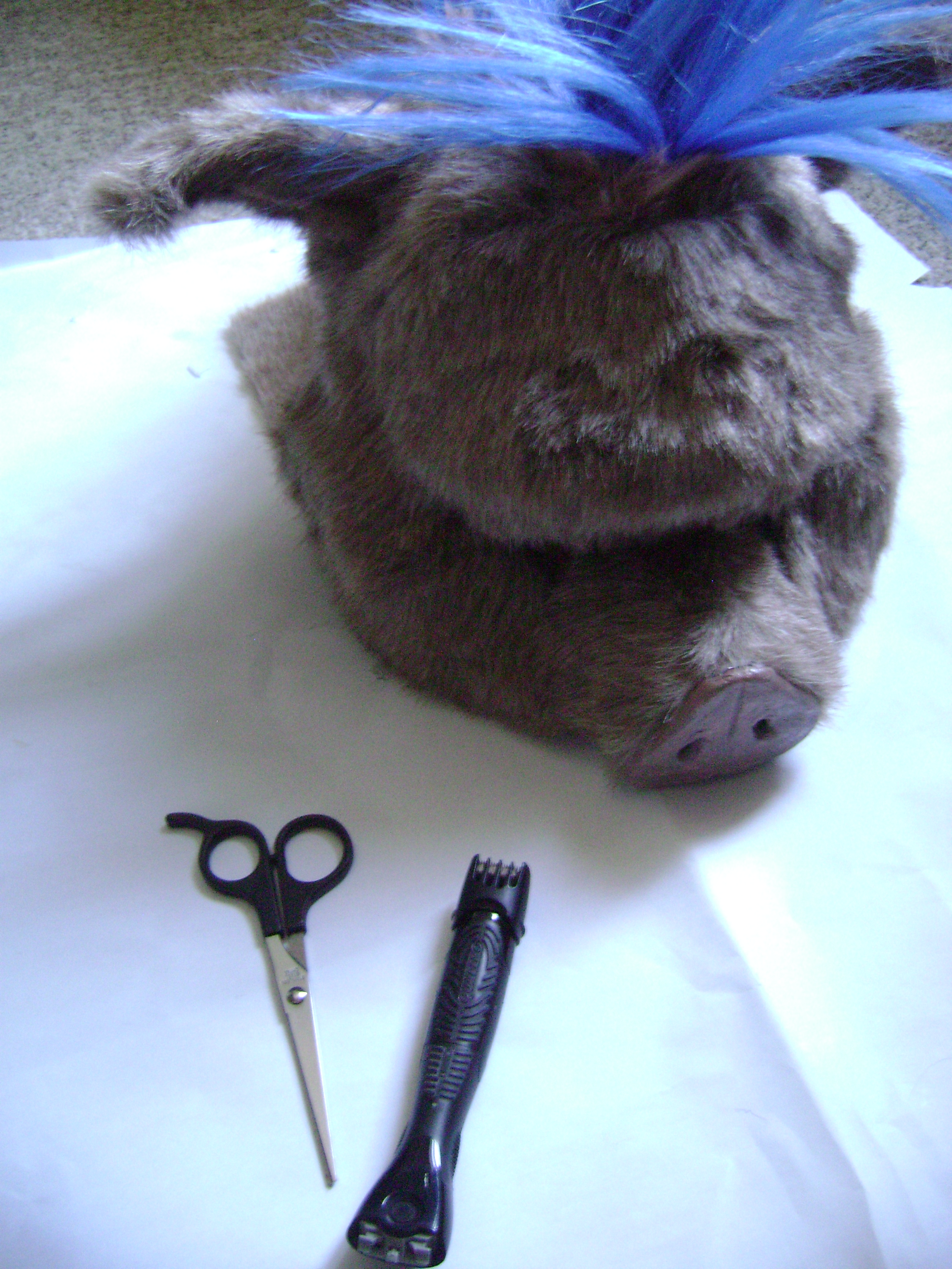 Bebop &amp; Rocksteady 240.jpg