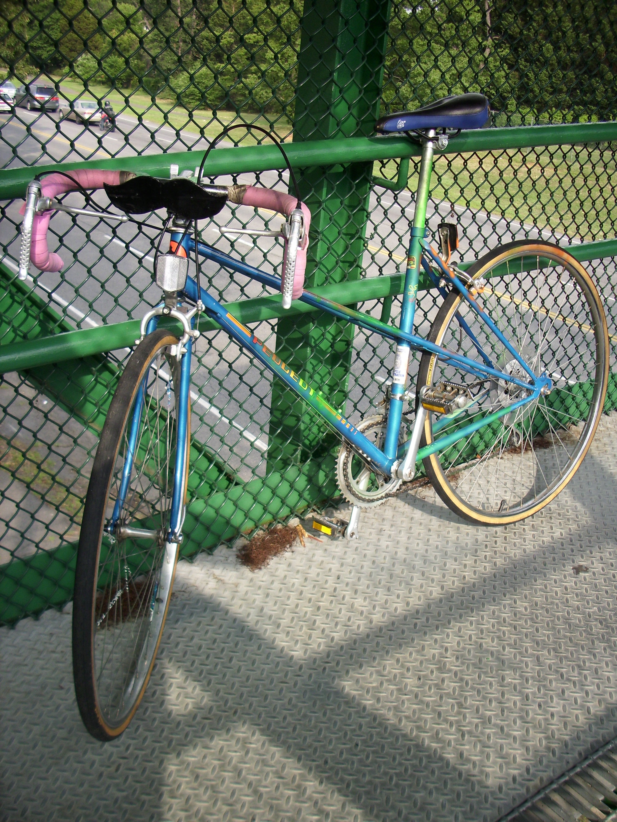 Bike Moustache 021.jpg