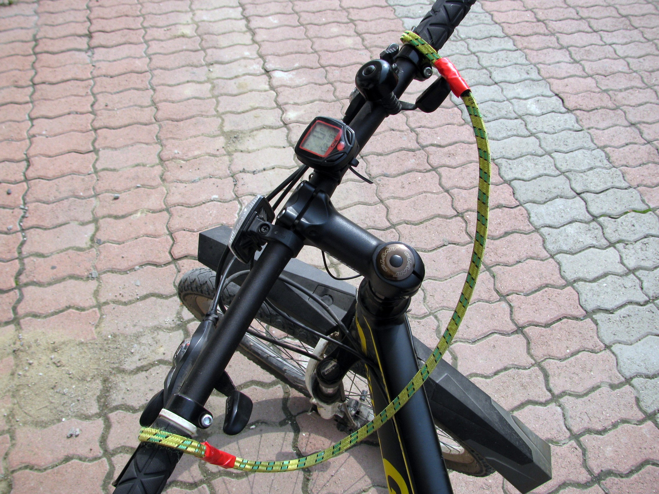 Bike Reins g.JPG