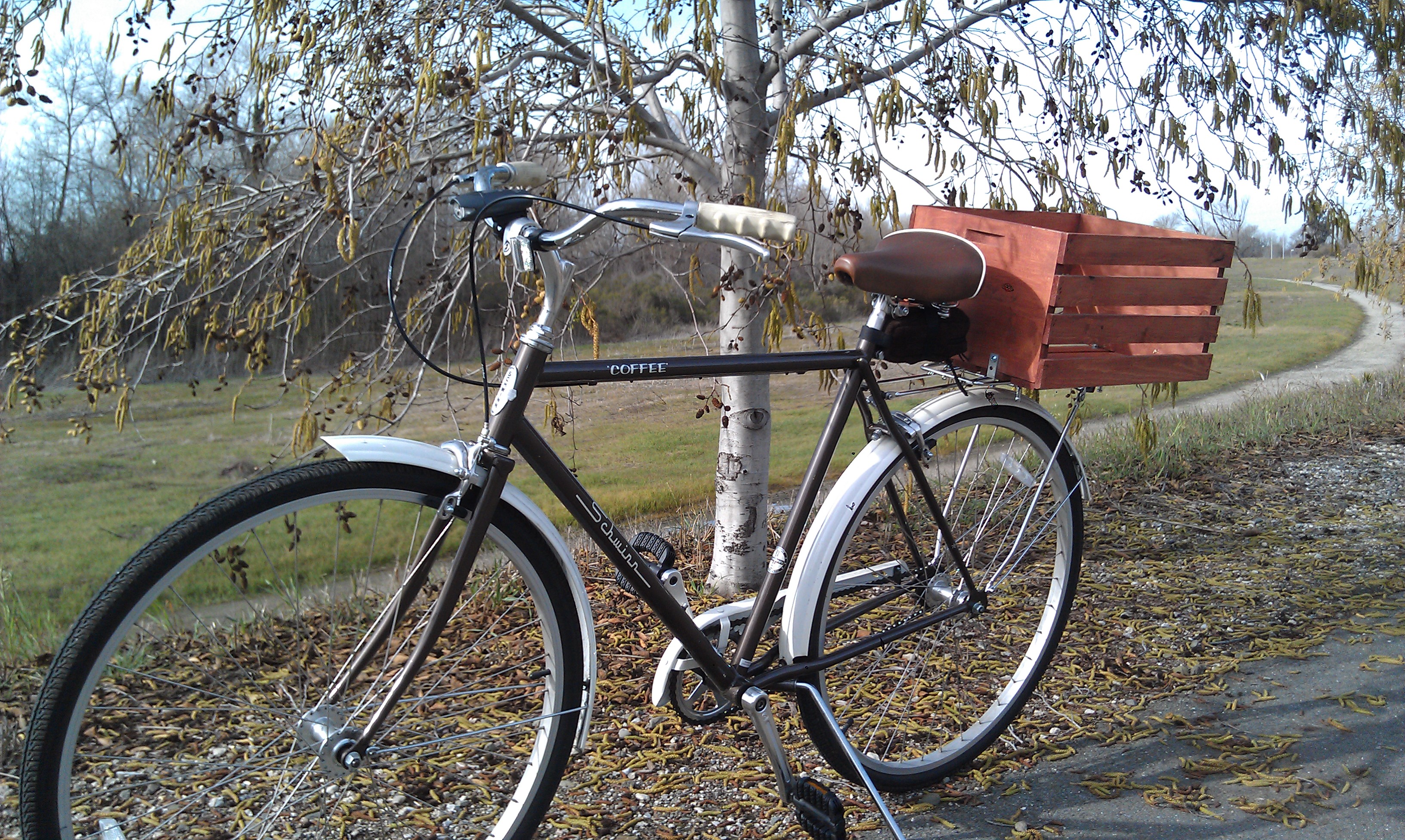 Bike with Wood Basket.jpg