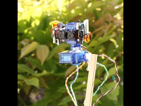 Binocular Robot Head a Stereoscope Camera