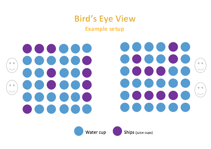 Bird'sEyeView.png