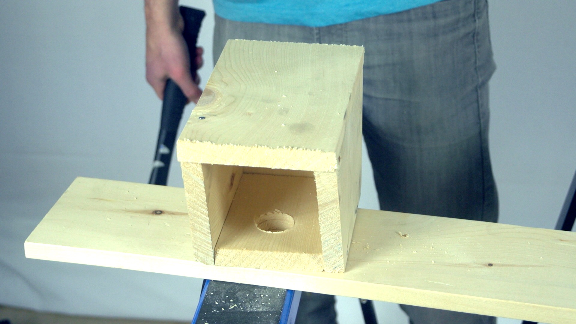 Bird House9.jpg