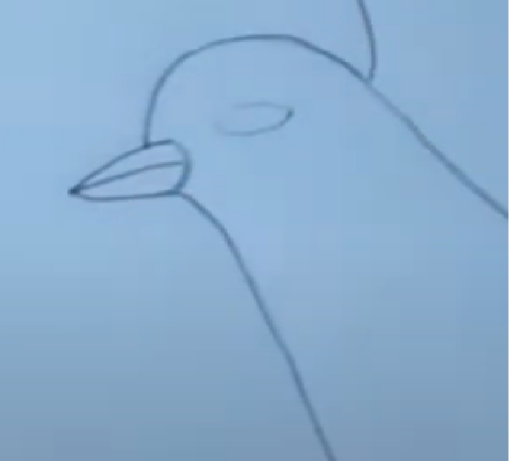 Bird1(Head).png