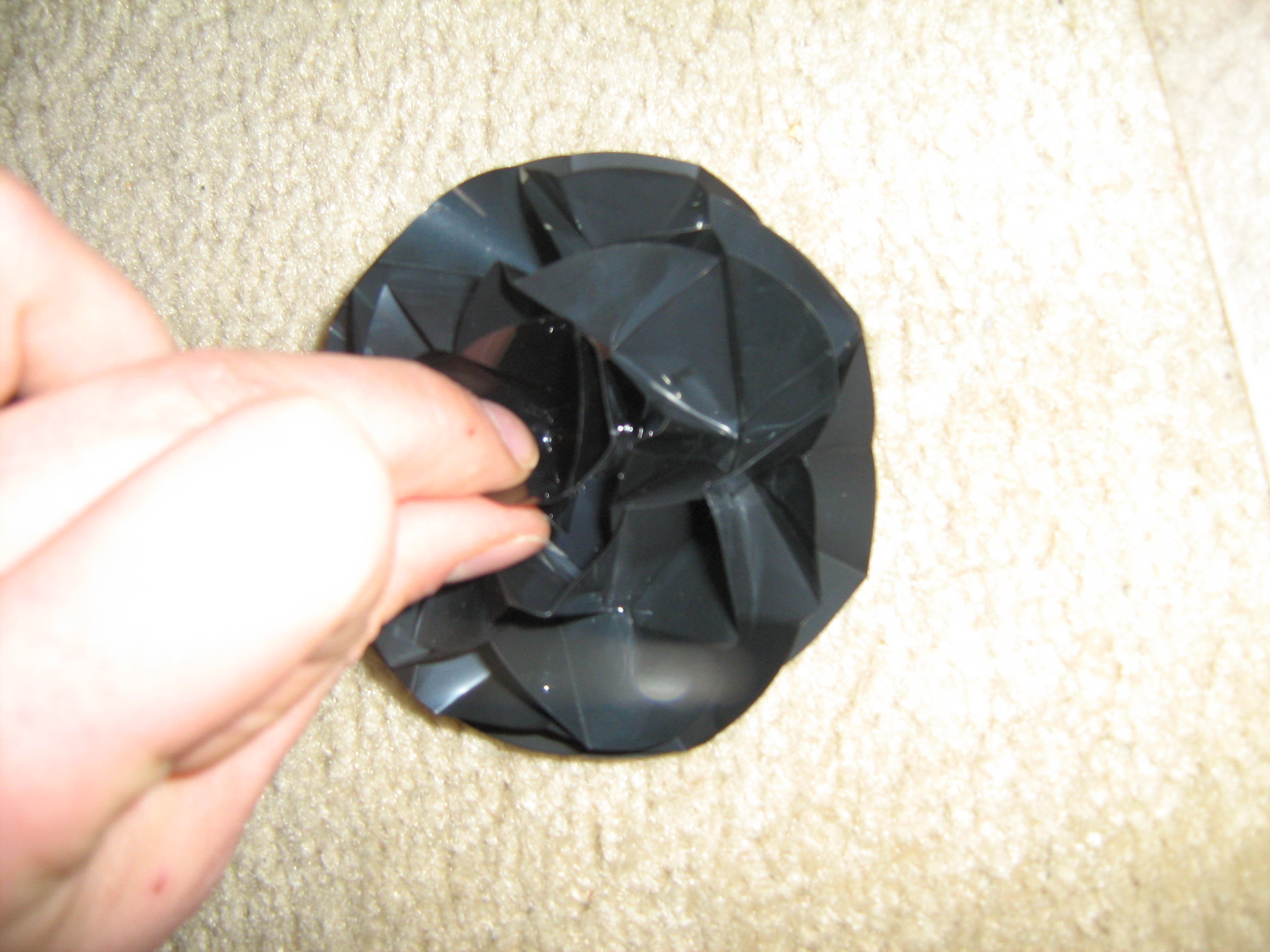 Black nerd flower 057.jpg