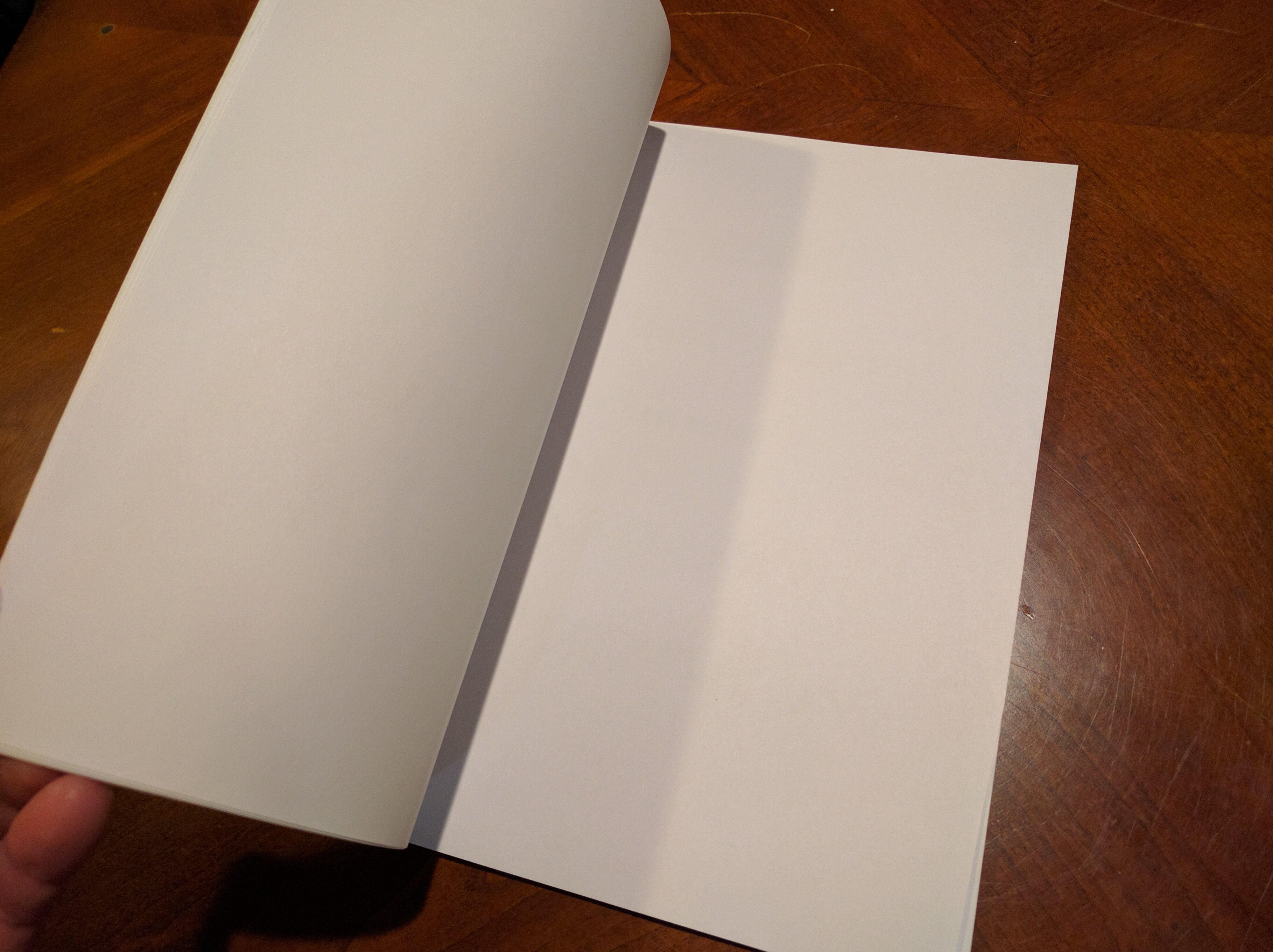 Blank pages.jpg