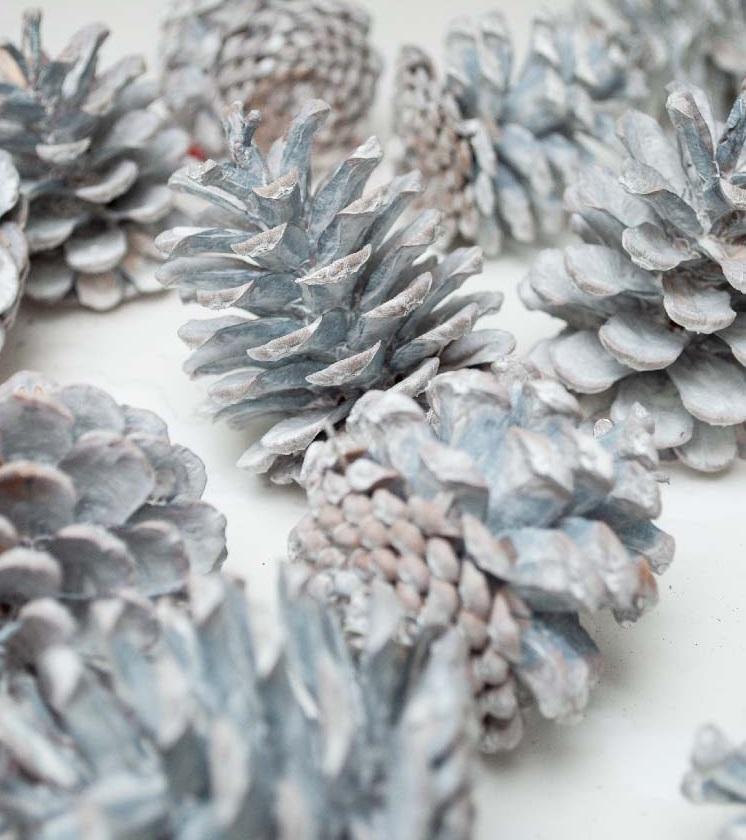 Bleached-Pinecones-with-NO-Bleach.jpg