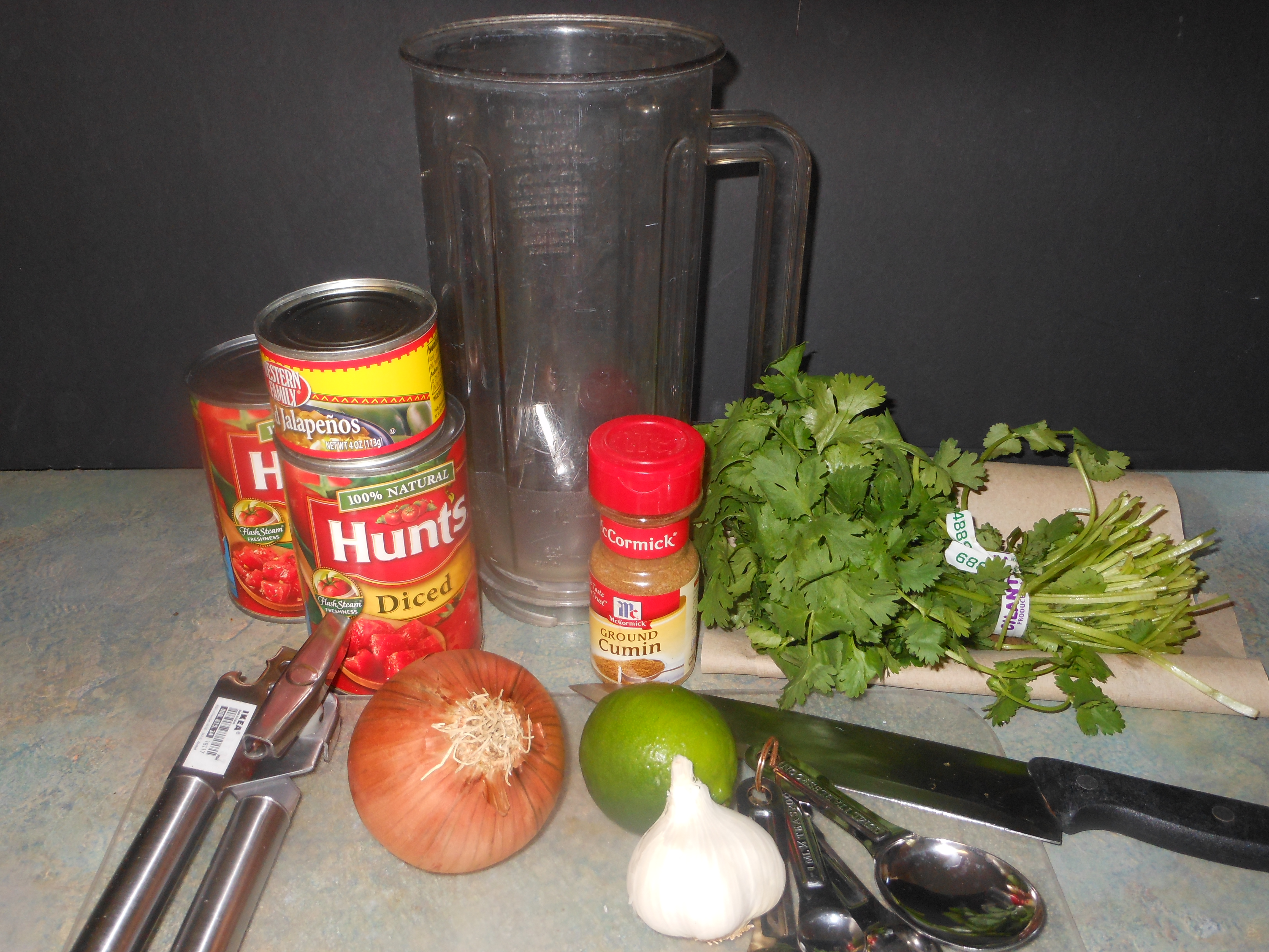 Blender Salsa 1.JPG