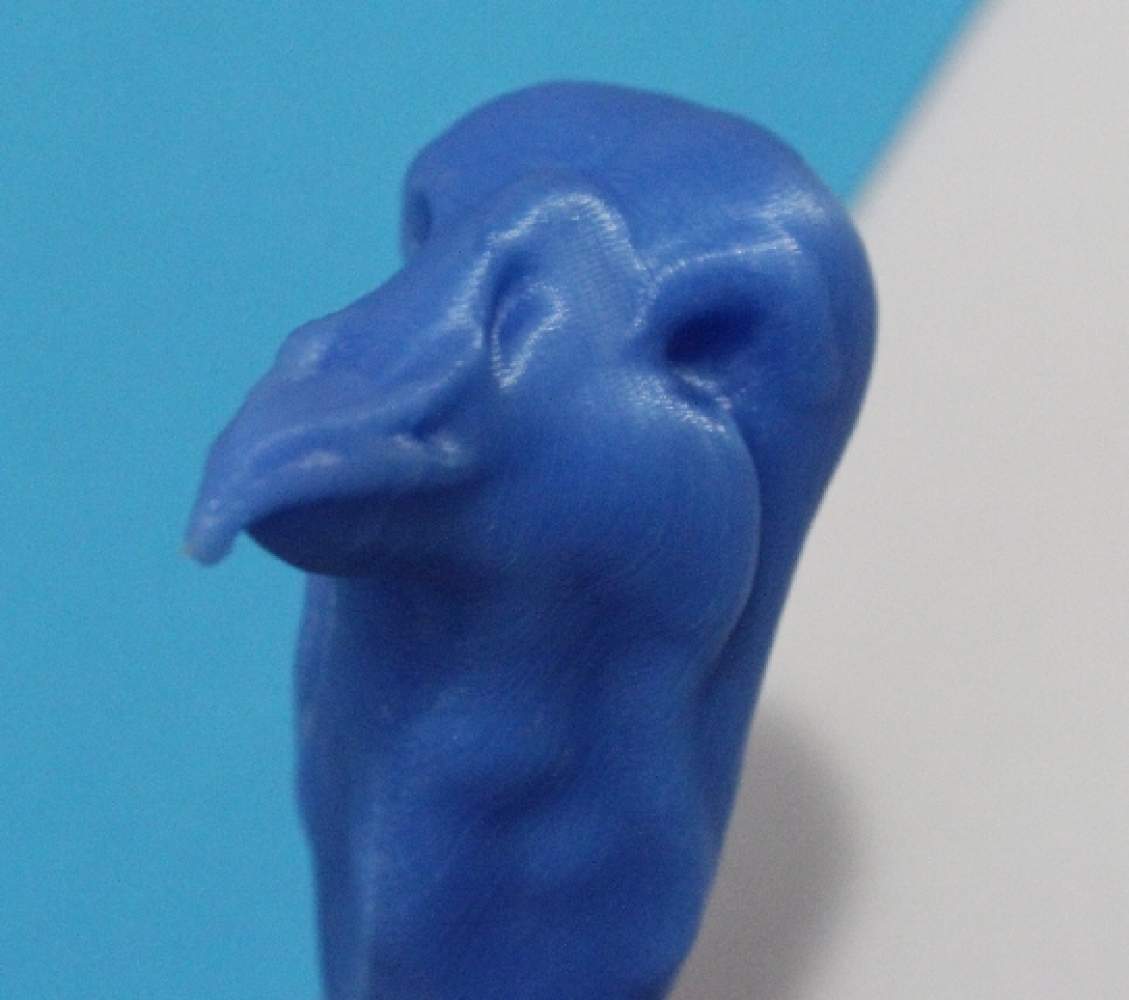 Blue Turkey Print Head.jpg