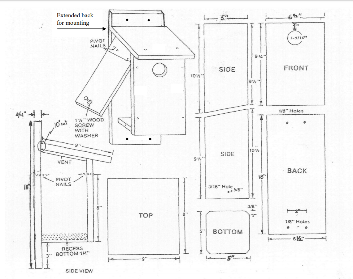 Bluebird House Blueprint.png