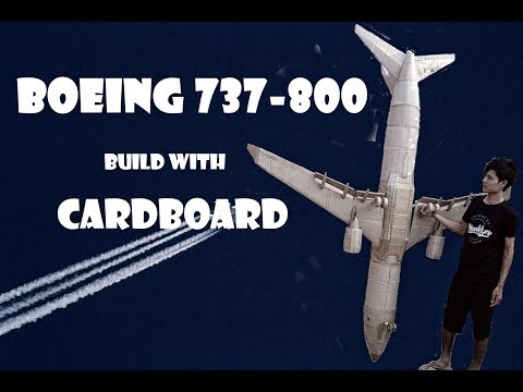 Boeing 737 800: DIY BUILD WITH CARDBOARD