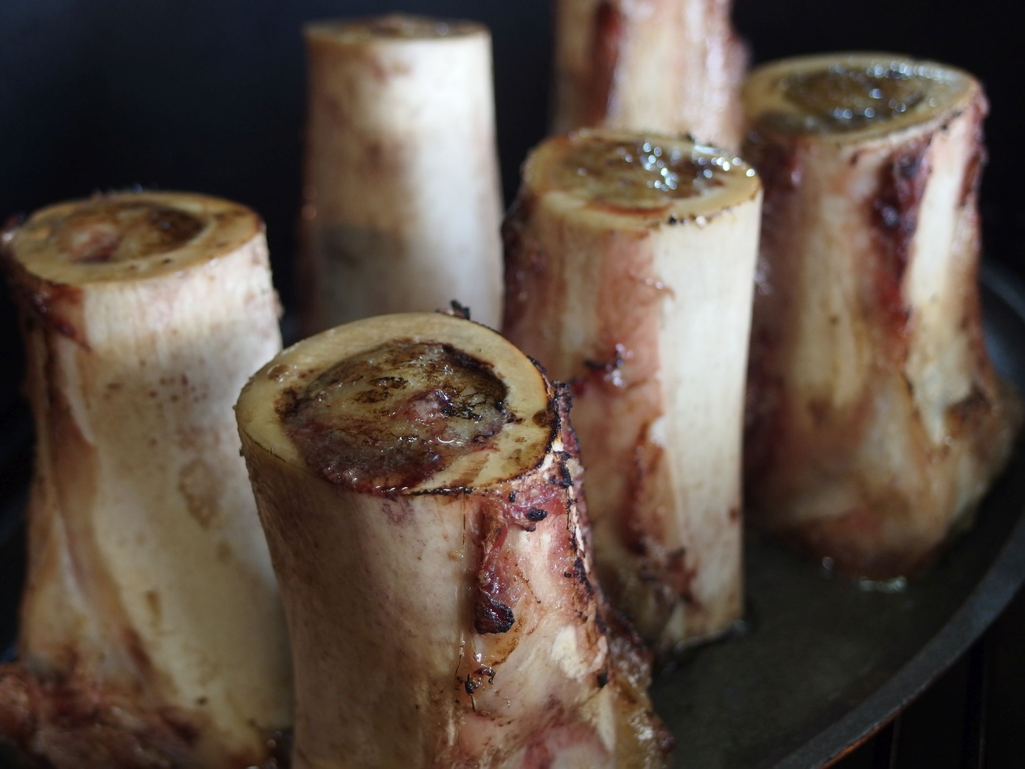 Bone Marrow07.jpg