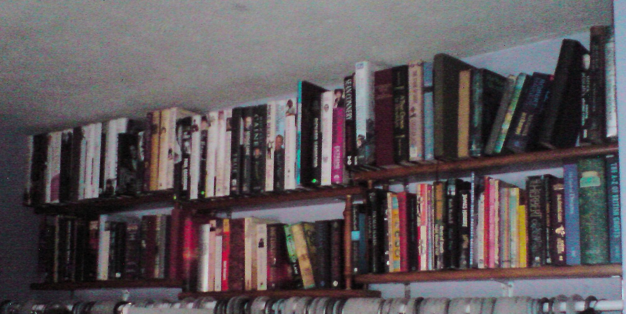 Book Shelves 5.jpg