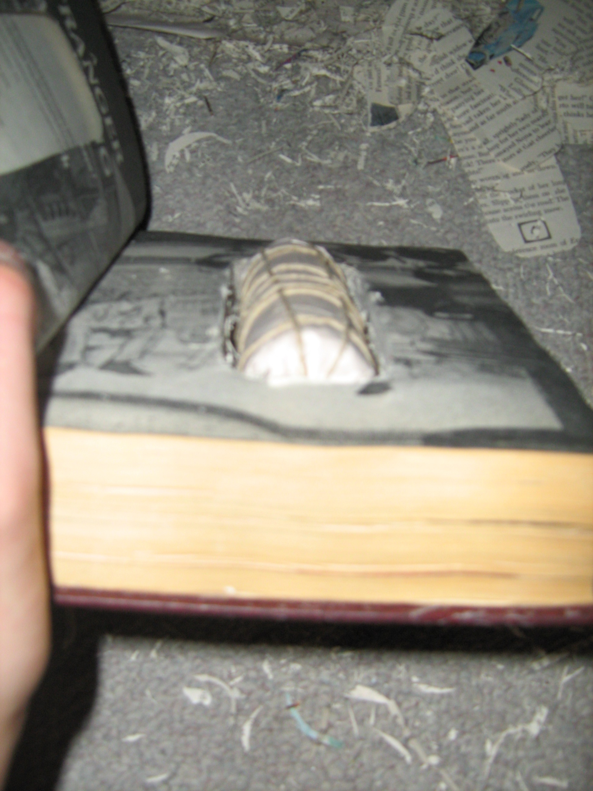 Book and tape 103.jpg