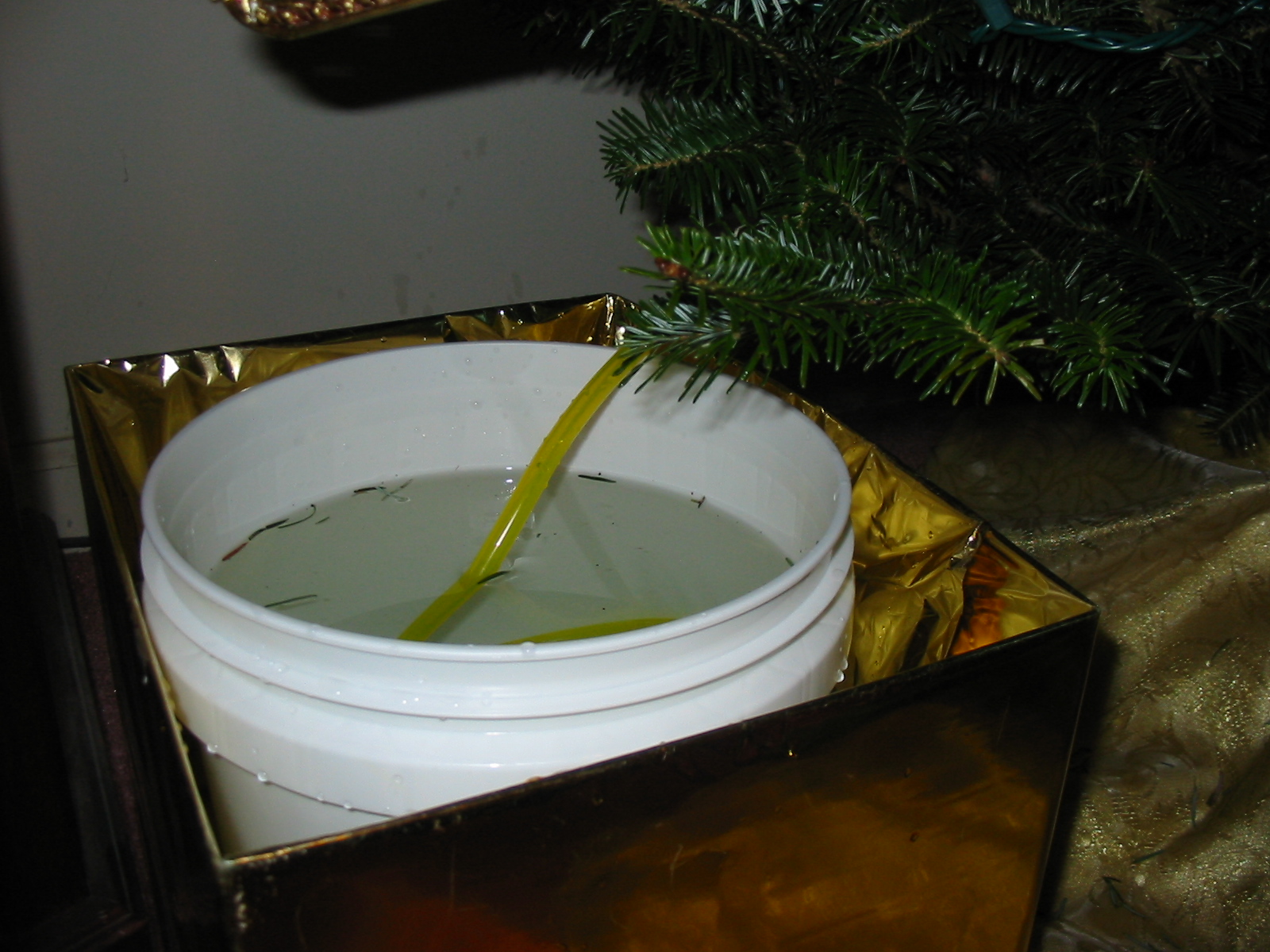 Box, Bucket, and Tubing for Hidden Christmas Tree Watering System.jpg