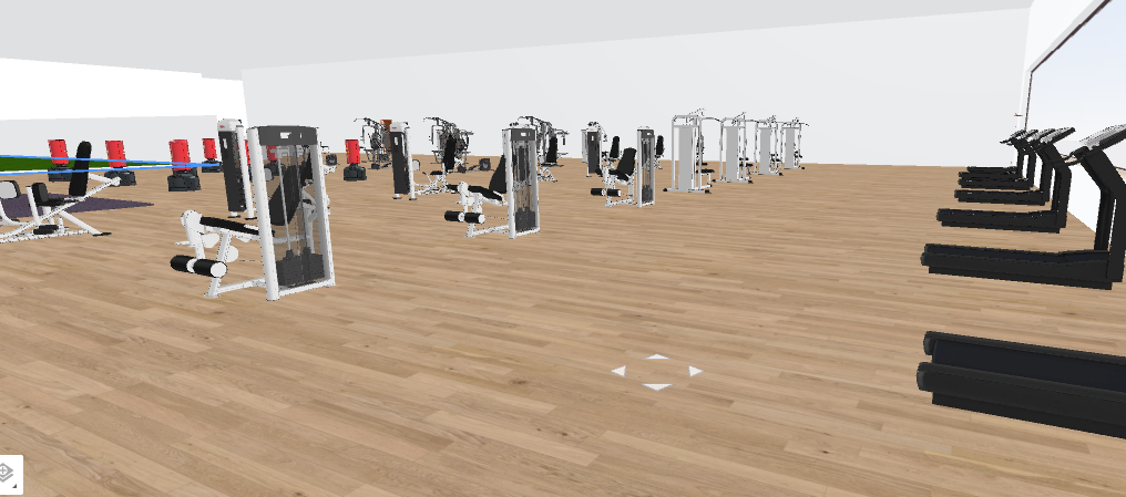 Boxing, Treadmill, and Weightlifting Area.png