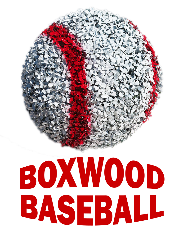 Boxwood Baseball by itself with title smaller 1000.png