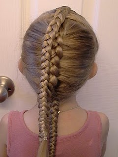 Braid.jpg