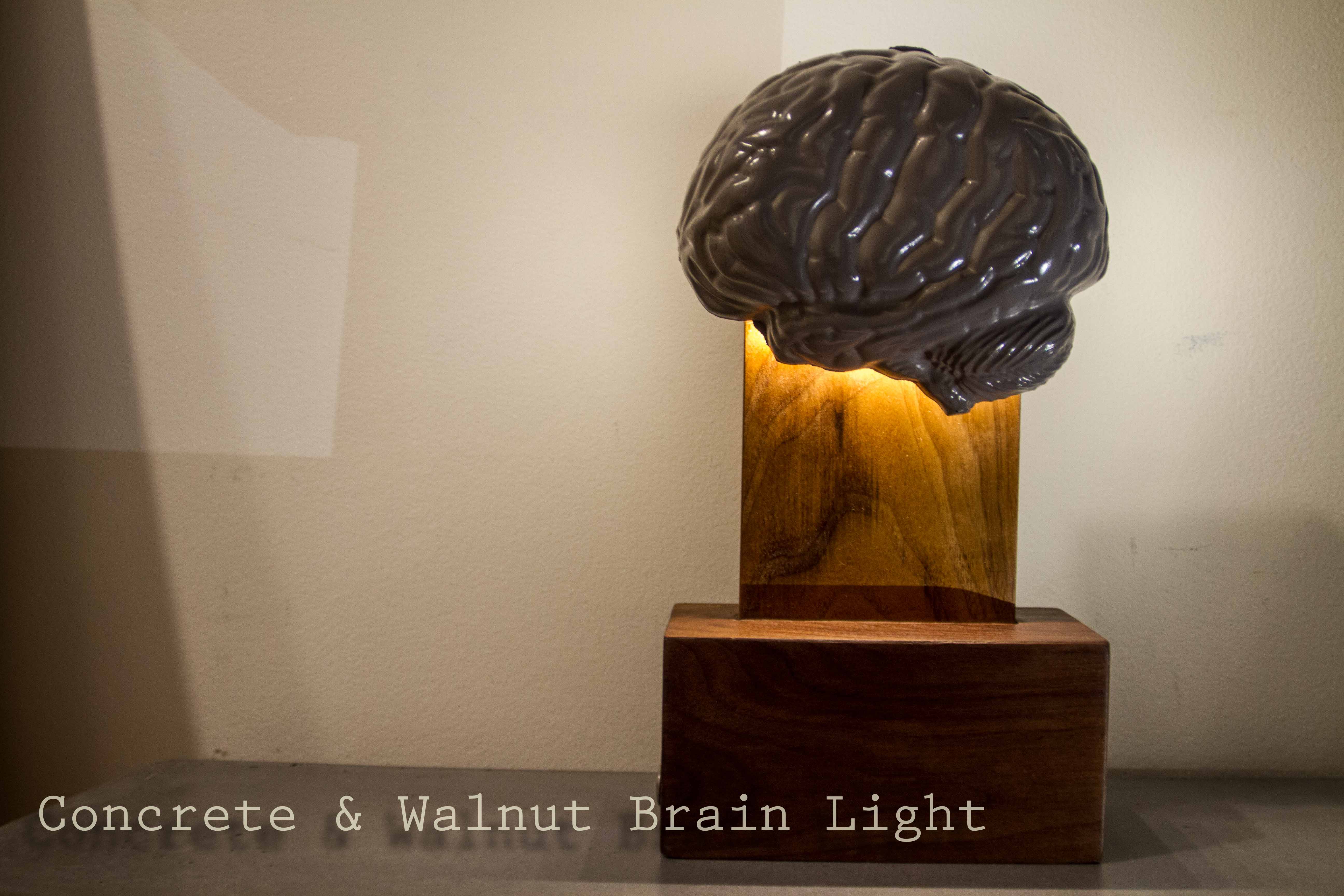 Brain_Lamp_Cover_Shot-1-5.jpg