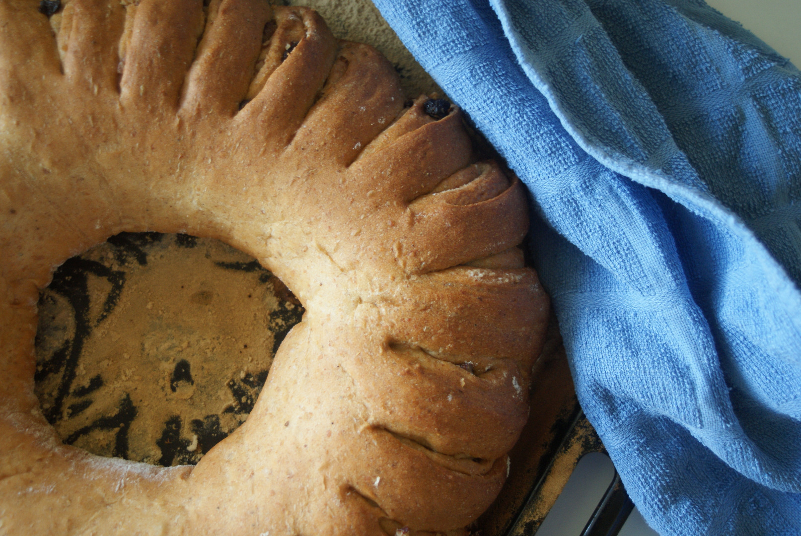 Bread, Nut Wreath (7).JPG