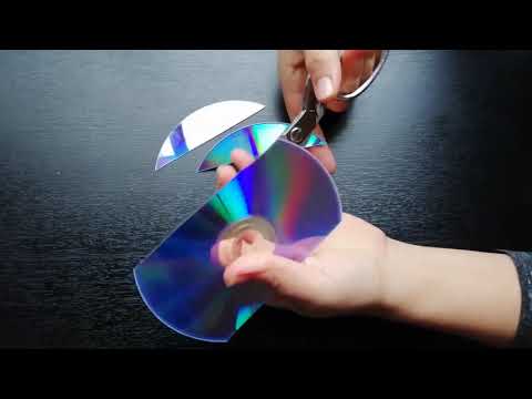 Broken CD Bird - cut CD