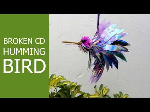 Broken CD Bird - intro