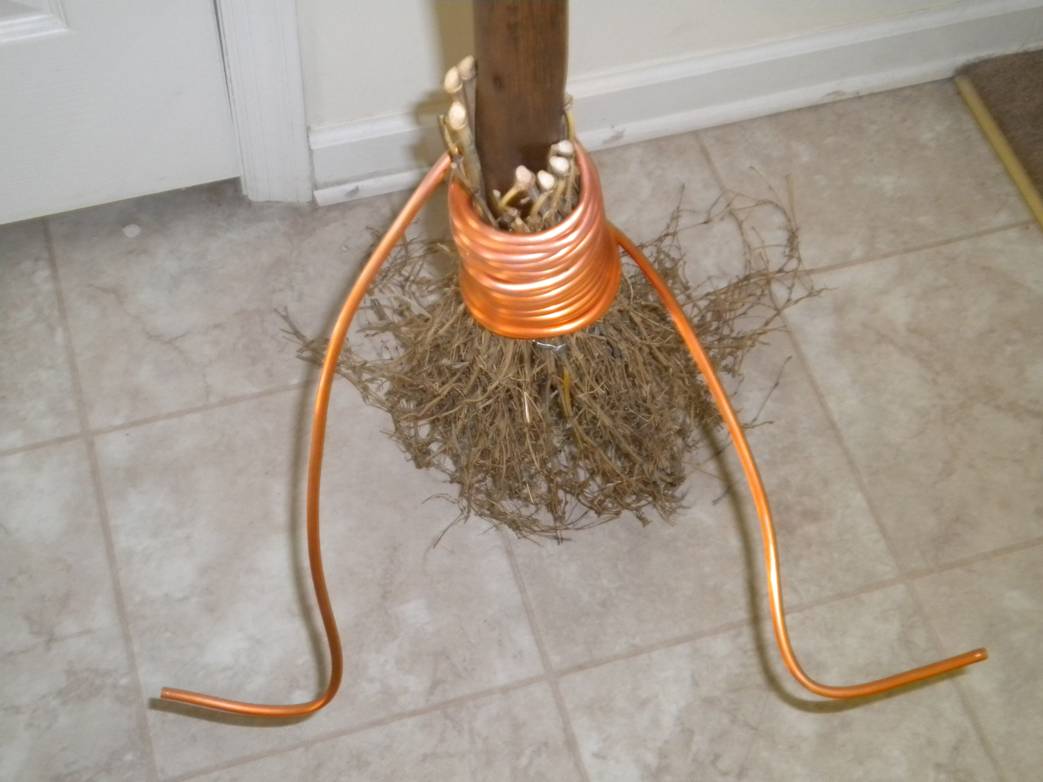 Broom3.jpg