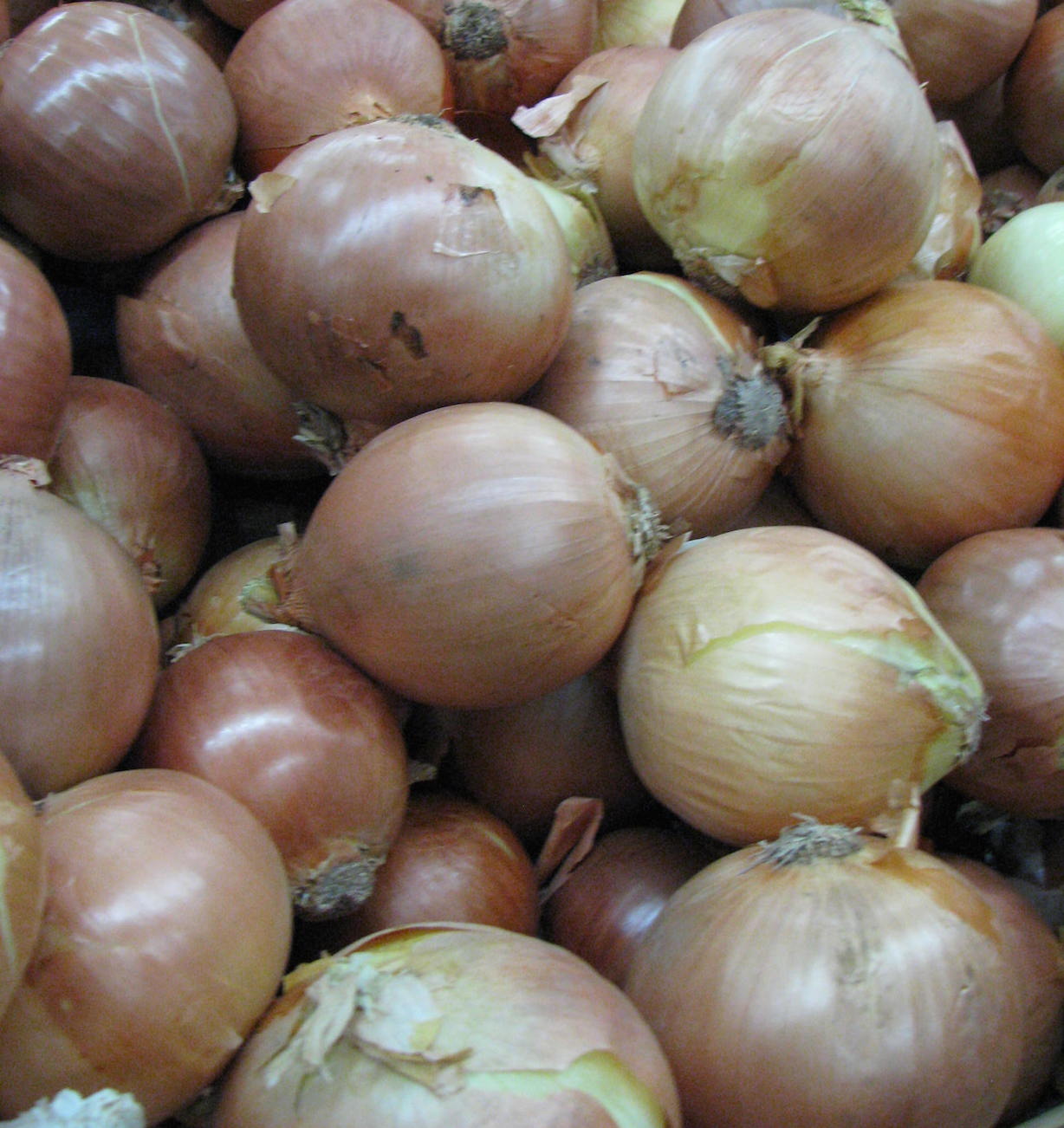 Brown Onion Skins-Dutch Dying Eggs 4-15-14.JPG