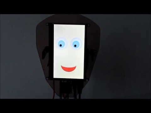 Brzydal - the social robot (team 24KRPO)