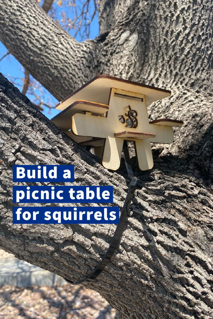 Build a squirrel picnic table (1).jpg