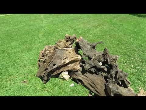 Building a rugged driftwood horse!