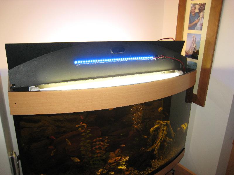 C:\Users\Will\Desktop\Fish tank moonlights - Copy\IMG_2541.JPG