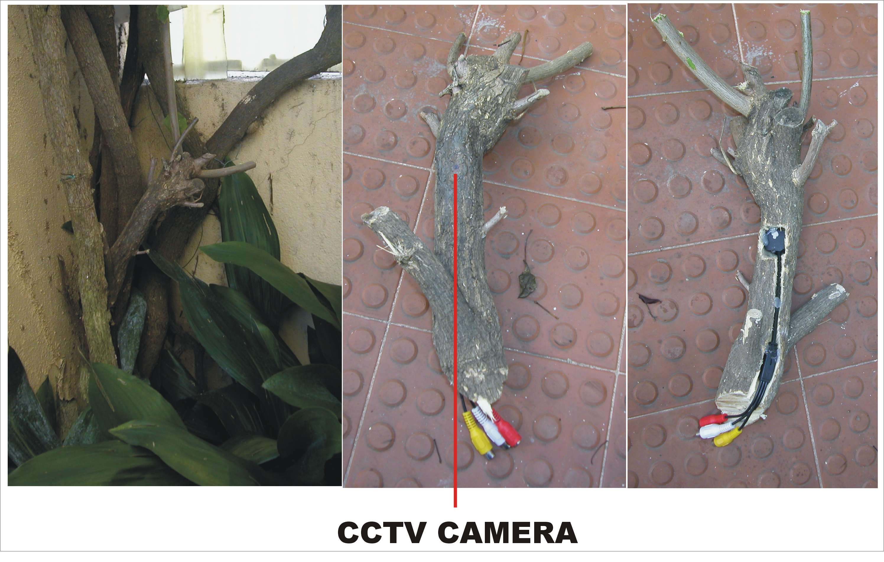 CCTV.jpg