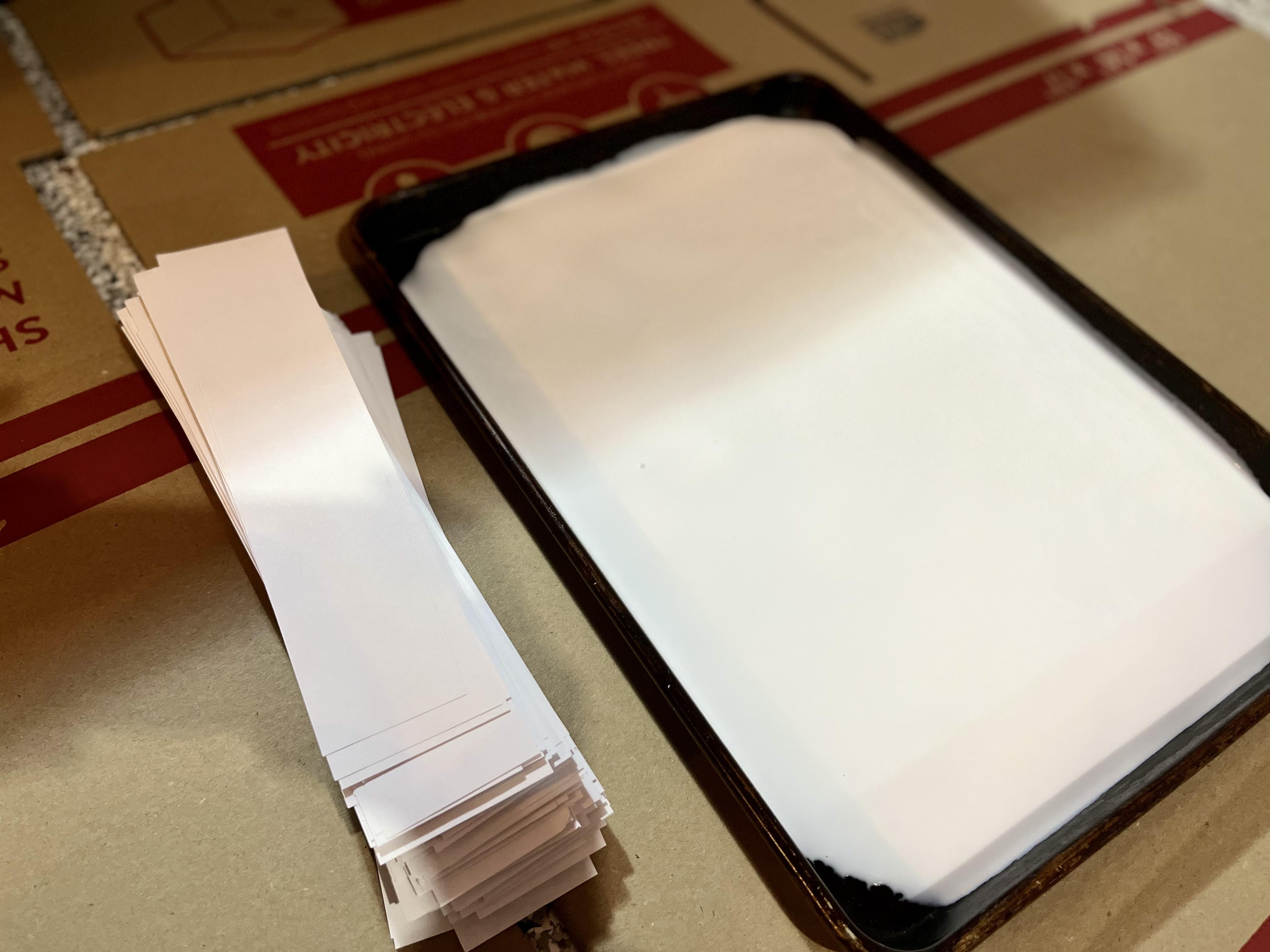 CFE799C6-7C28-4637-99AB-4F8E8243D3C6.jpeg