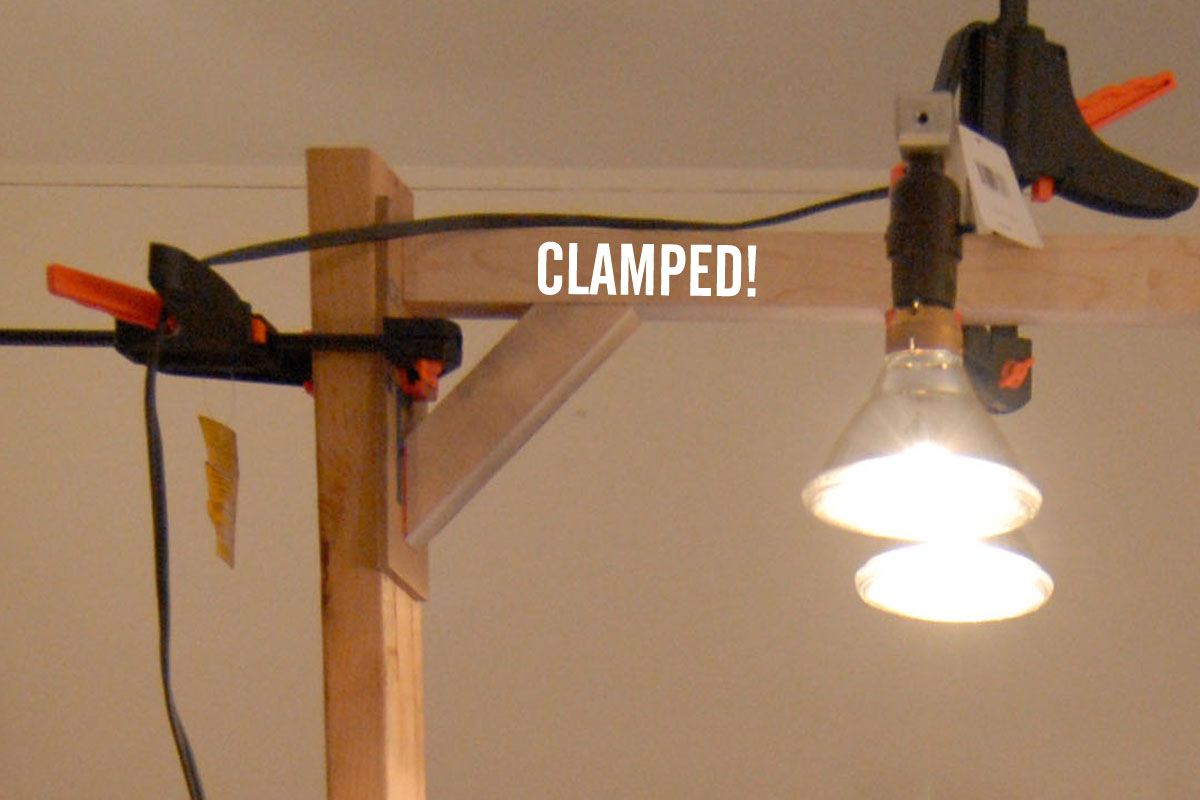 CLAMPED.jpg