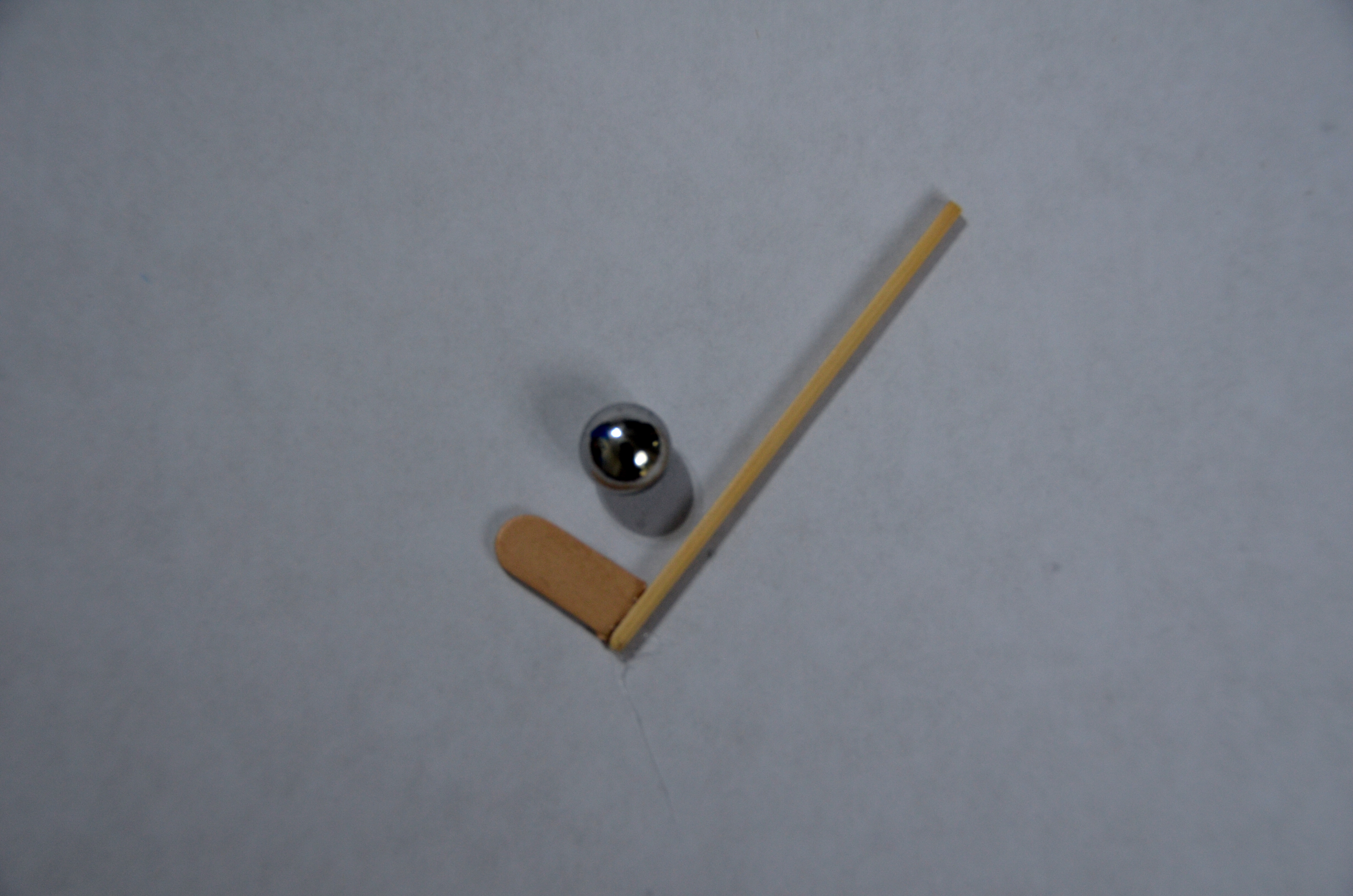 CSC_0024.JPG