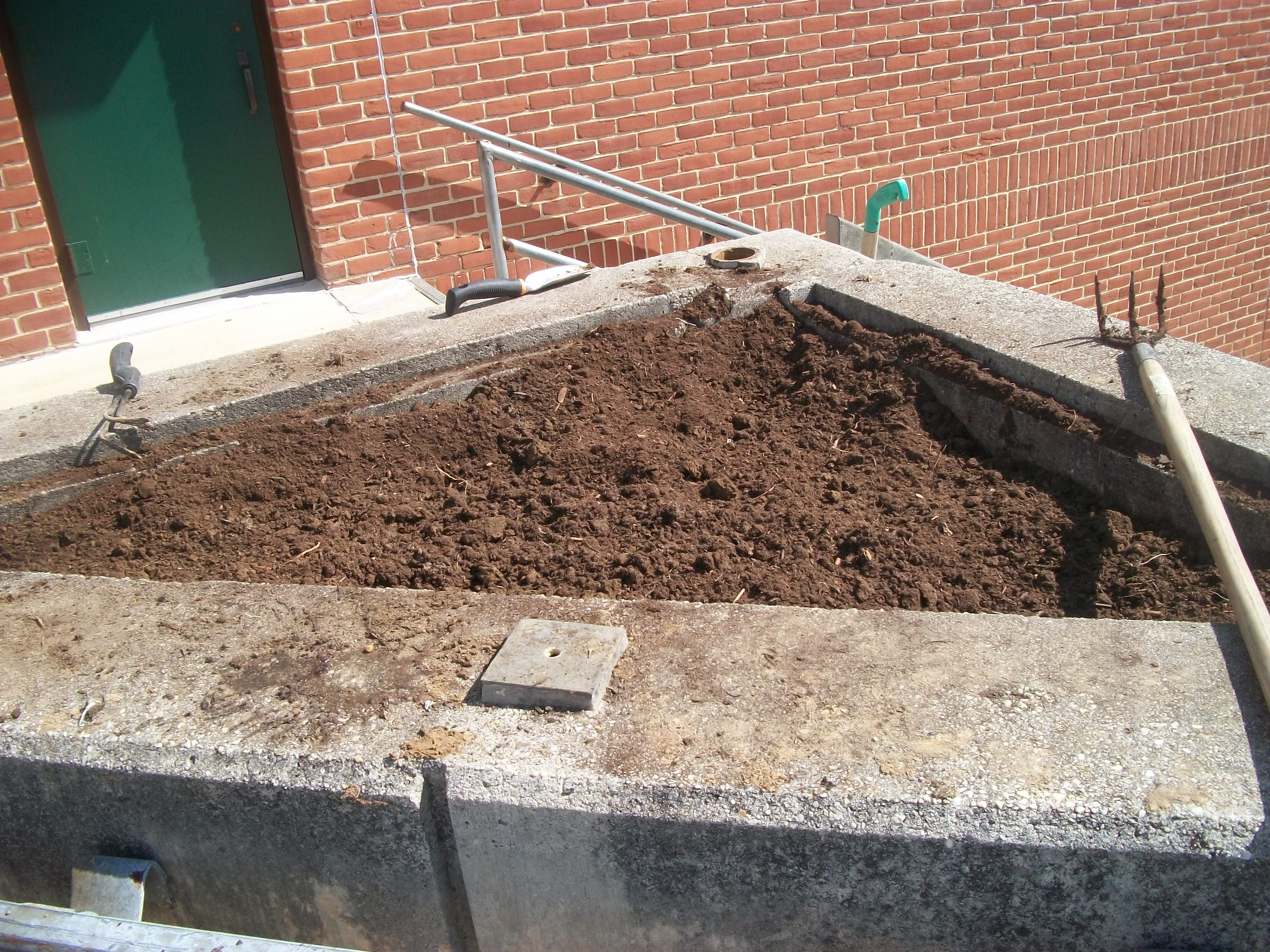 Campus Beautification 2011 005.jpg