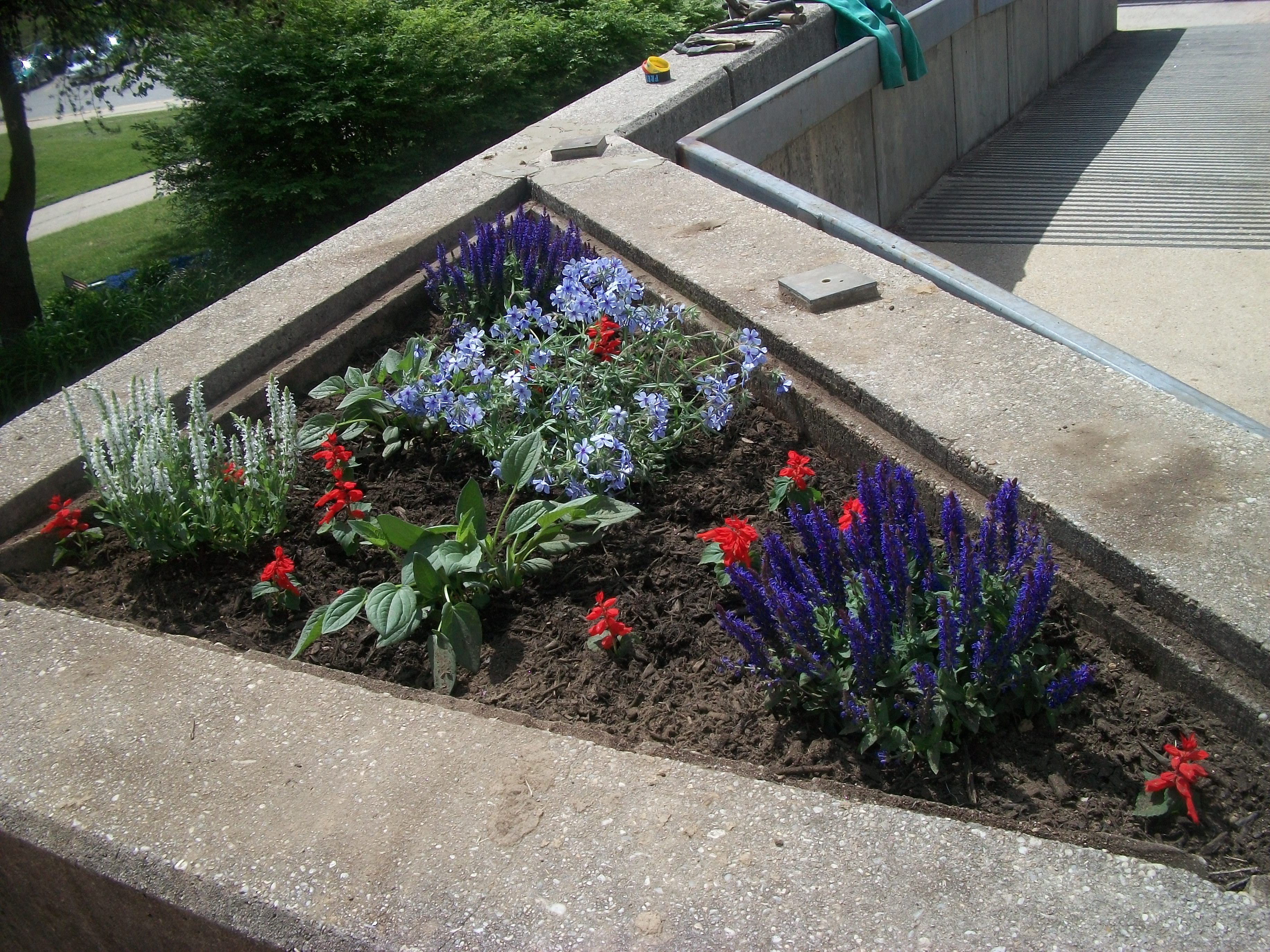 Campus Beautification 2011 018.jpg