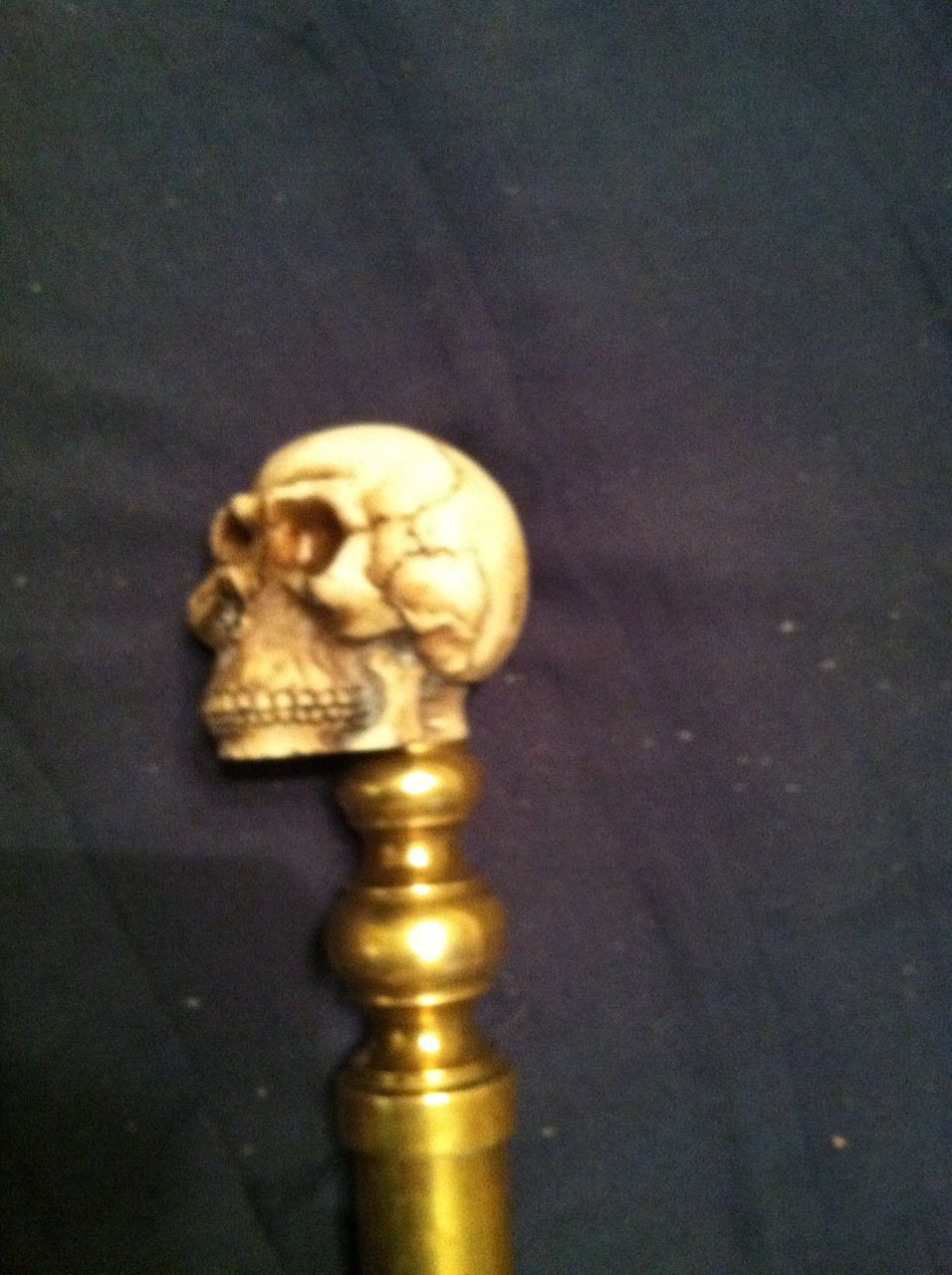 CaneSkull 2.jpg