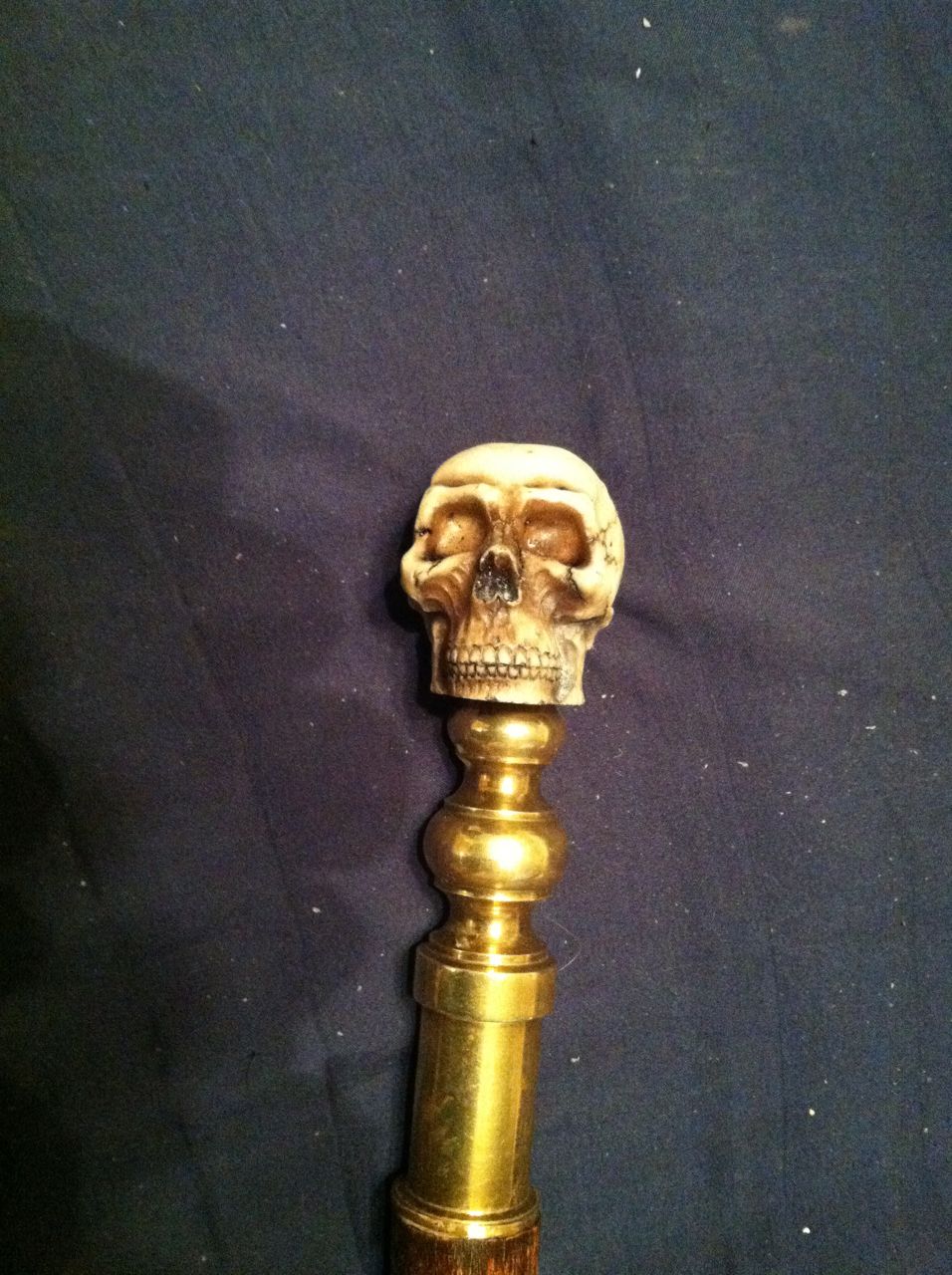 CaneSkull 3.jpg
