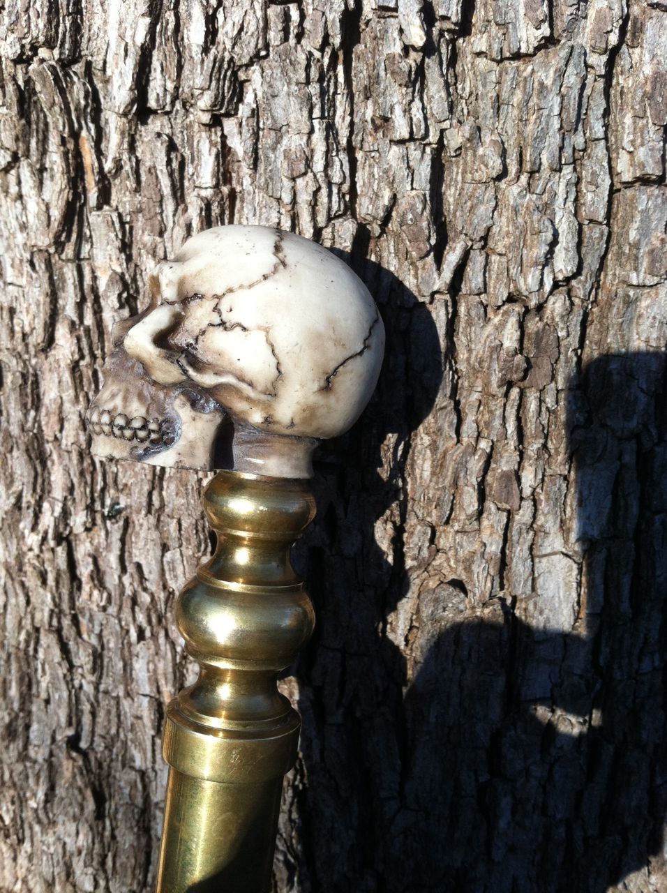 CaneSkull 4.jpg