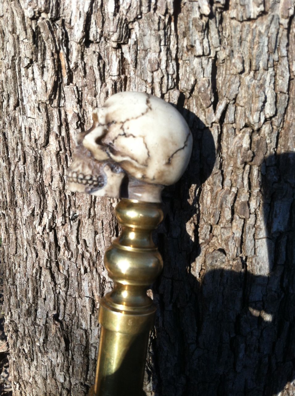 CaneSkull 5.jpg