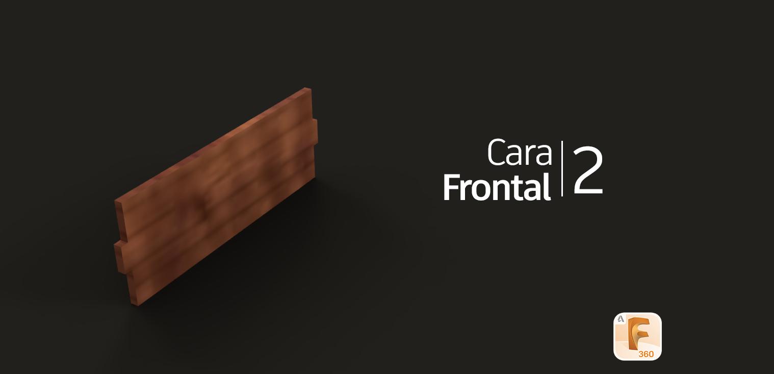 Cara Frontal N2.jpg