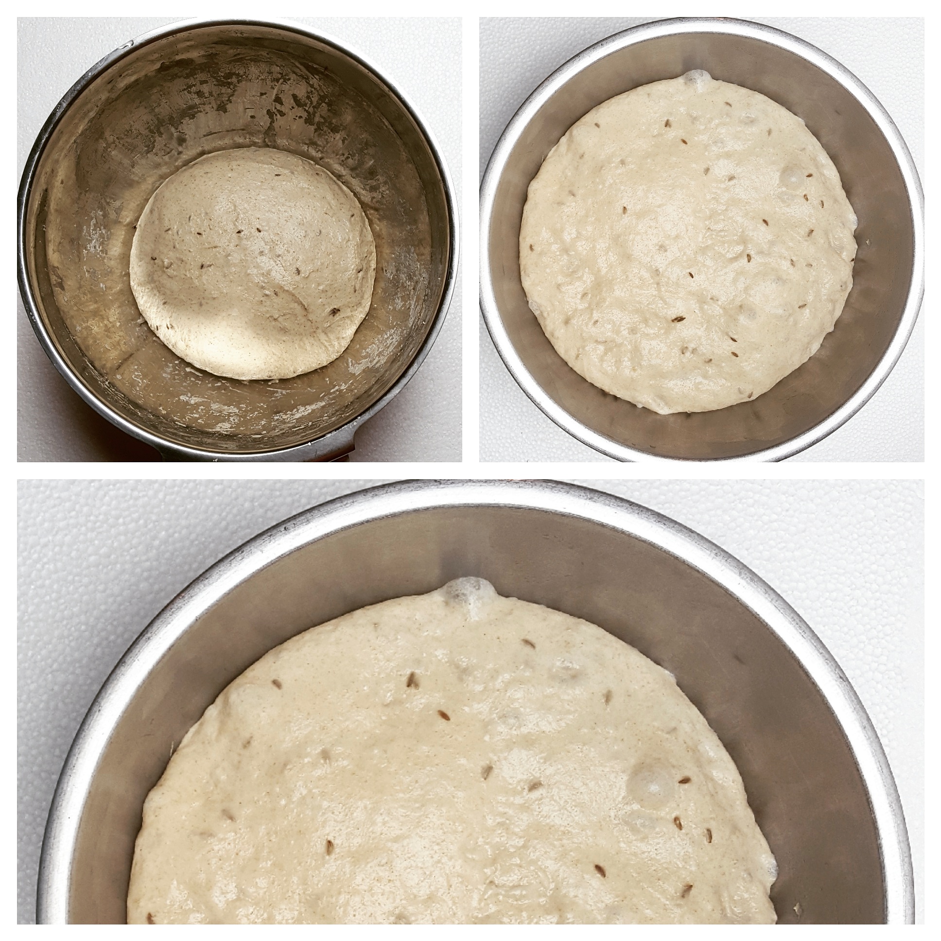 Caraway Rye Bread Step 4.jpg