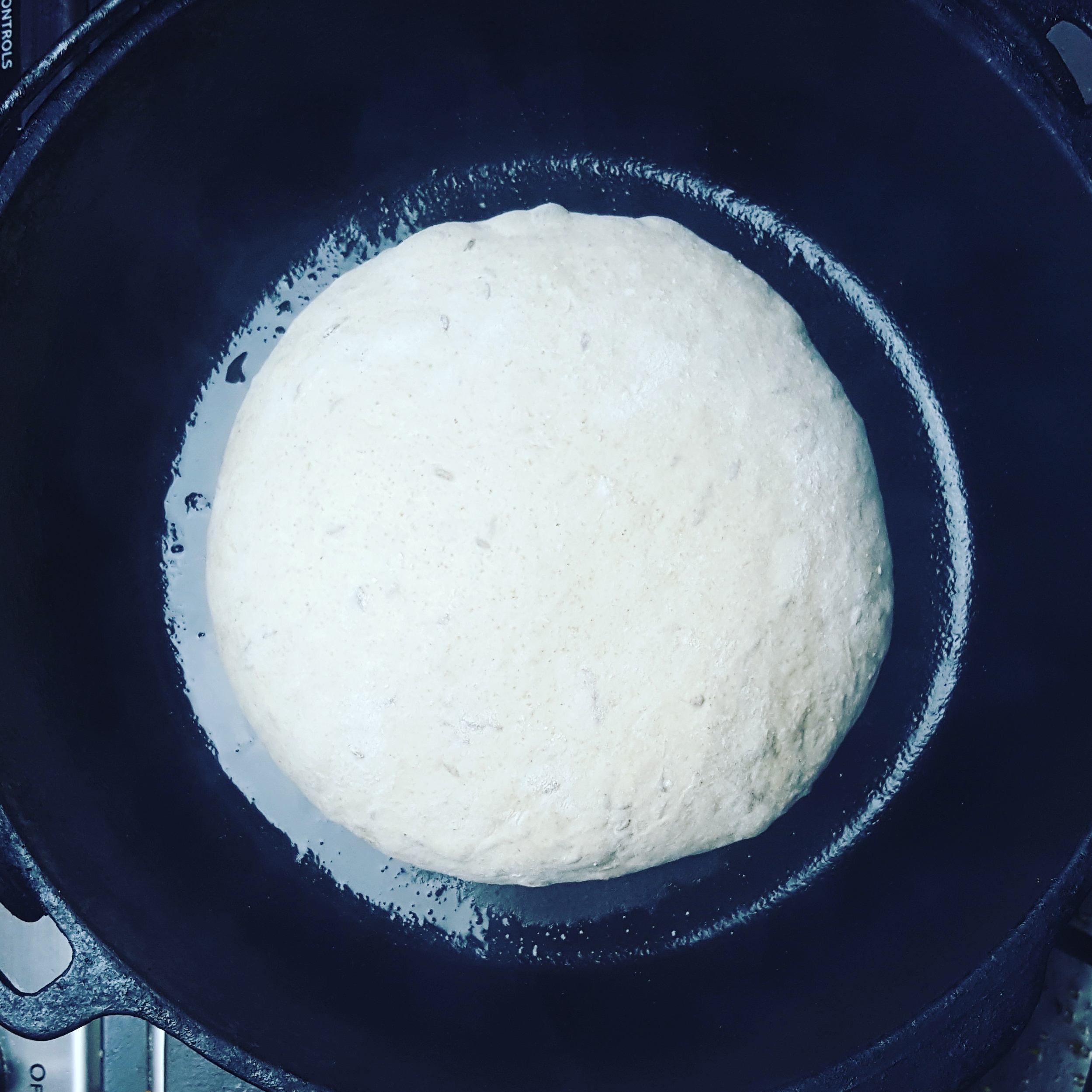 Caraway Rye Bread Step 8.jpg