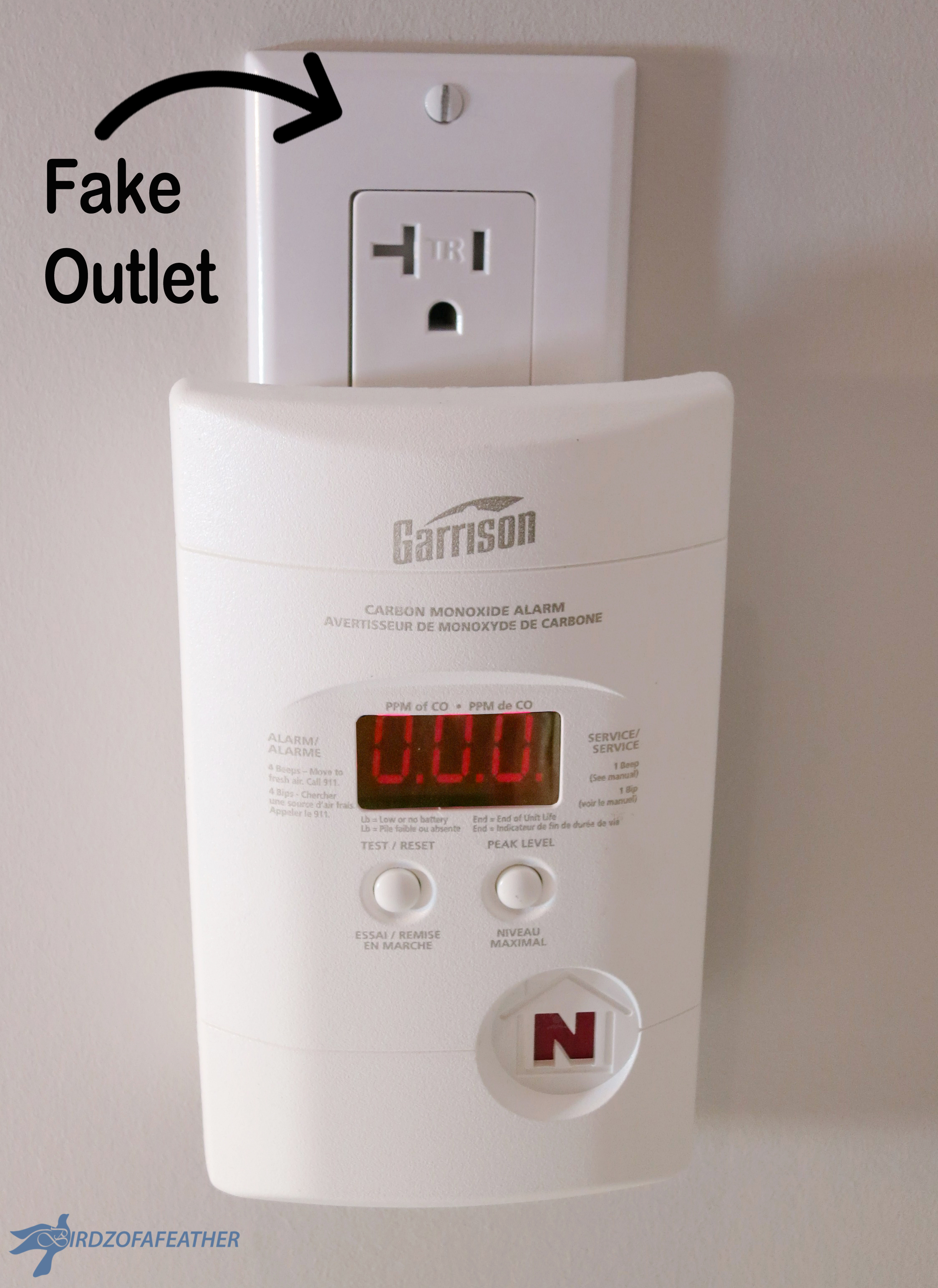 Carbon Monoxide Detector Hiding Place 085_BOF2.jpg