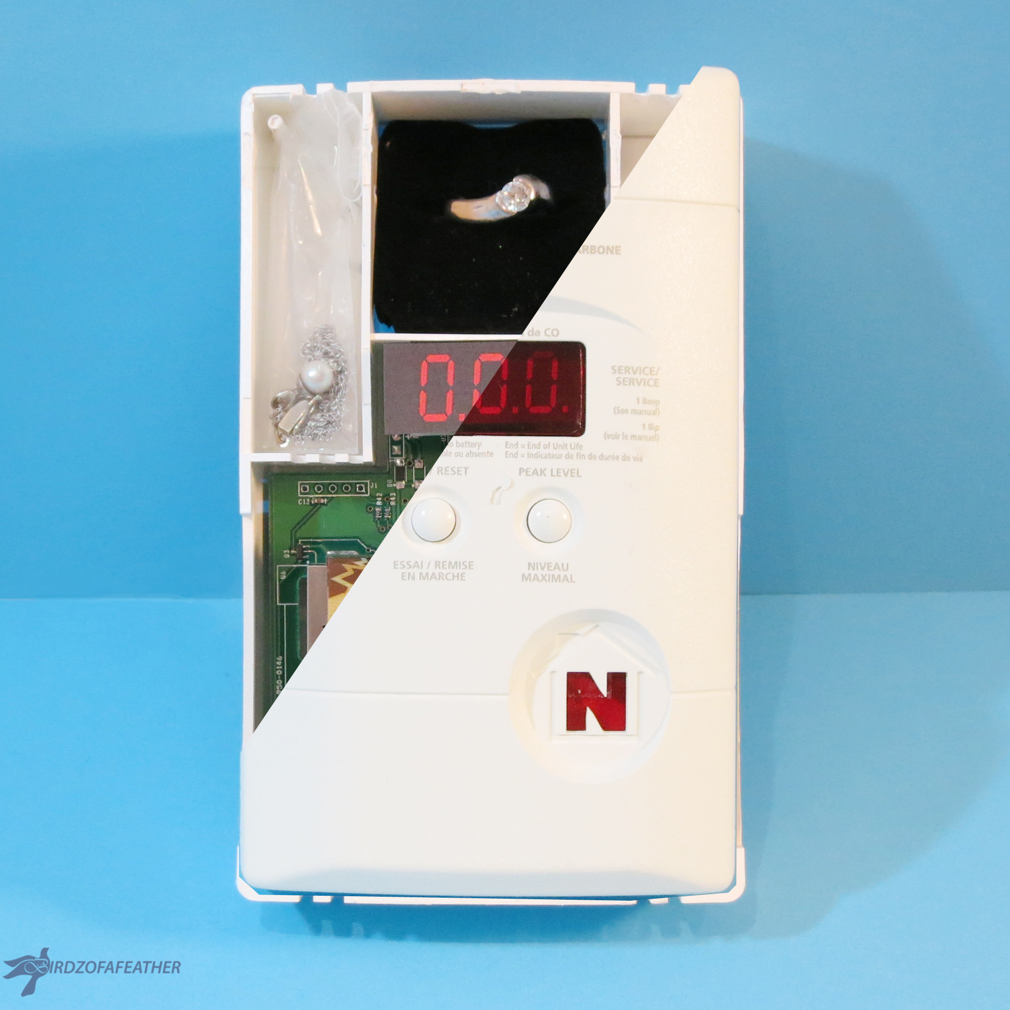 Carbon Monoxide Detector Hiding Place 203_BOF.jpg