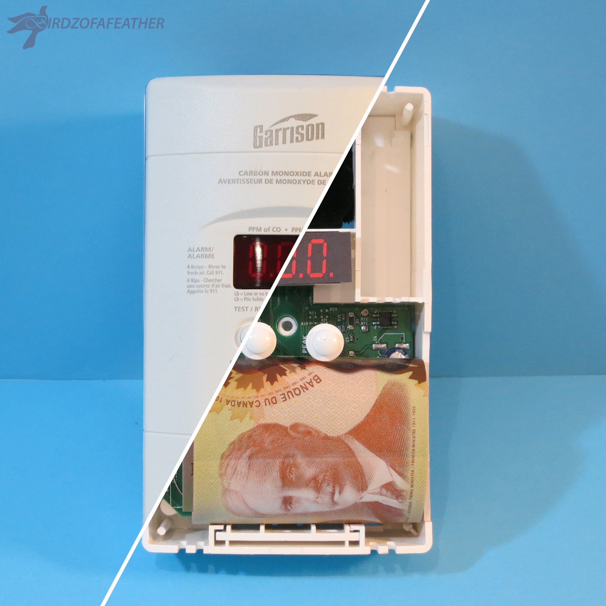 Carbon Monoxide Detector Hiding Place 203_B_BOF.jpg