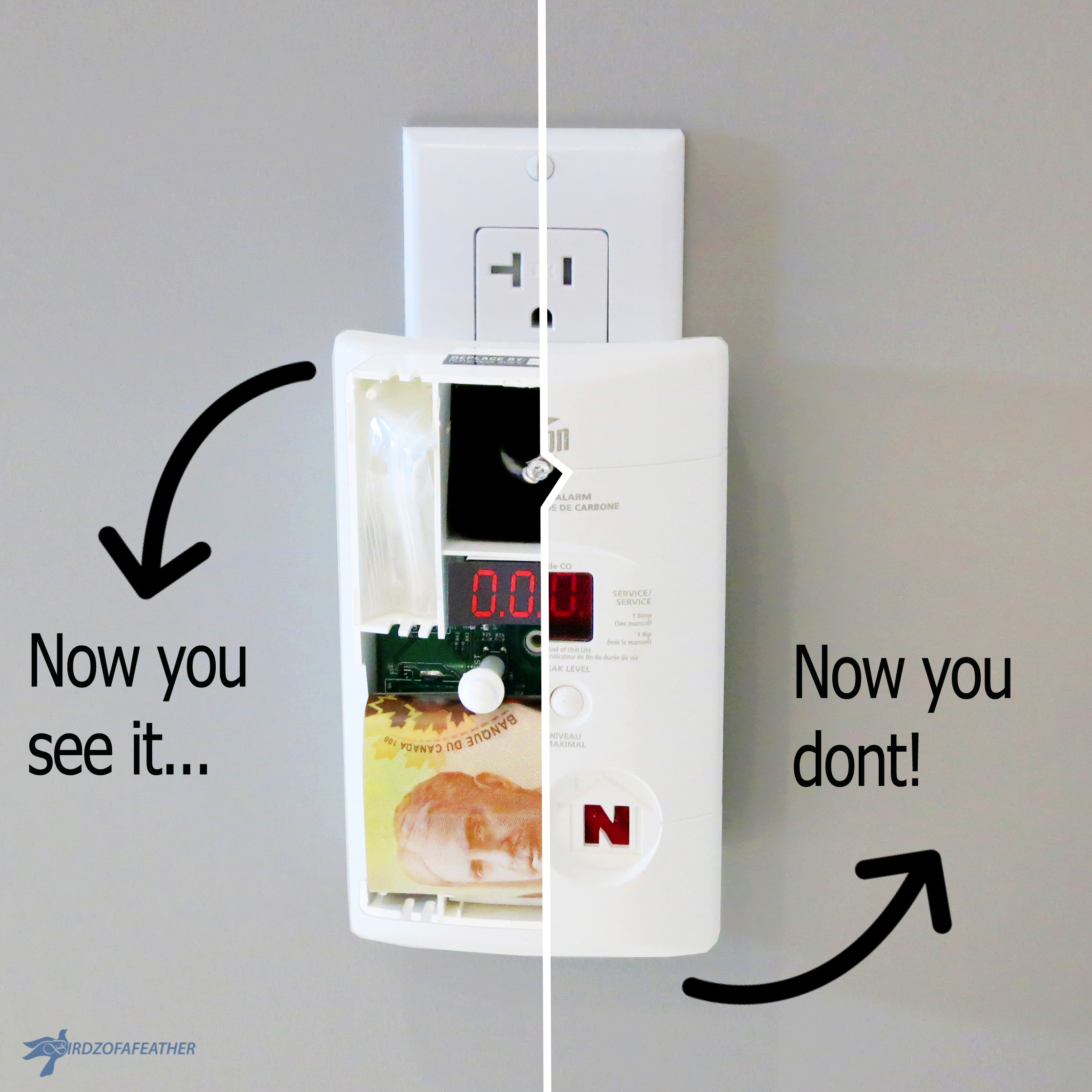 Carbon Monoxide Detector Hiding Place 2072_BOF_PIN.jpg