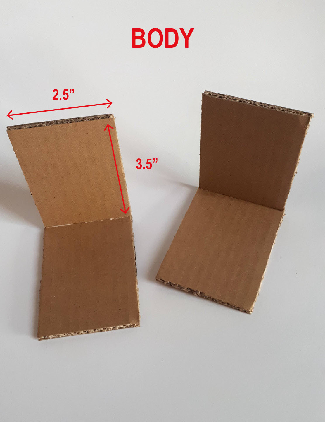 Cardboard Cutout Measurement-2.jpg